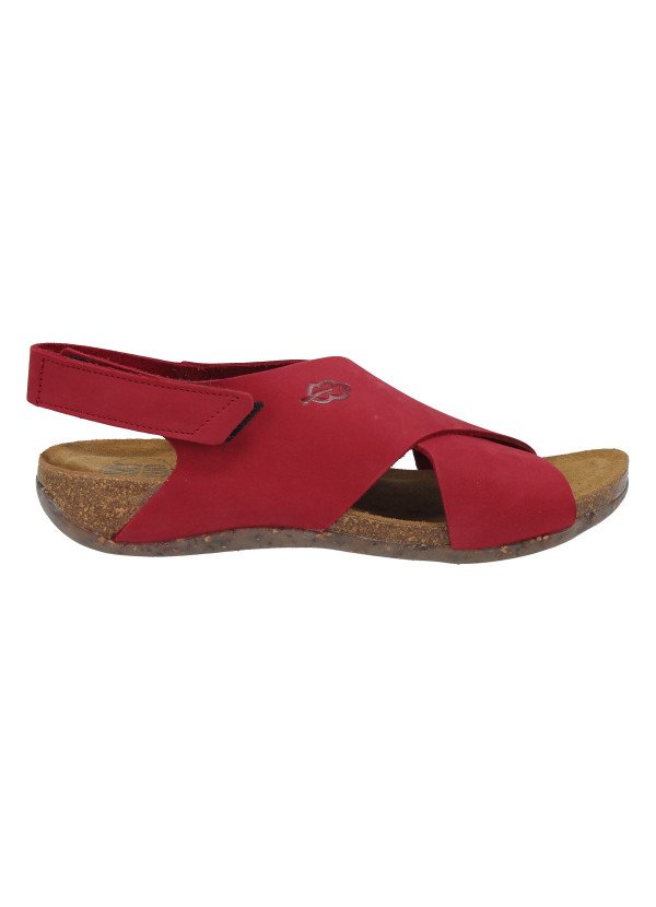 Loint's 31152 RED